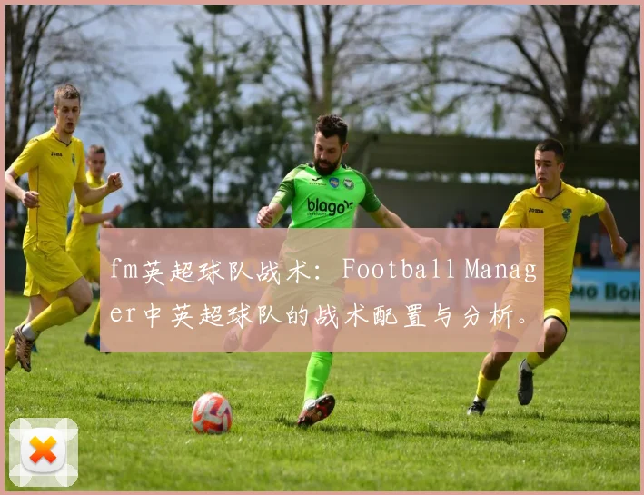 fm英超球队战术：Football Manager中英超球队的战术配置与分析。