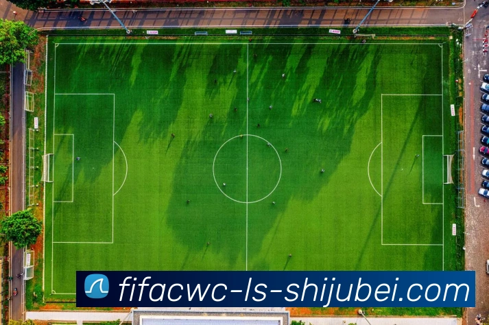 世界杯直播服务体系